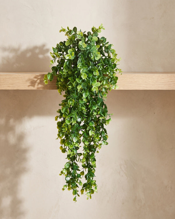 One artificial eucalyptus vine trailing over the edge of a pale oak shelf