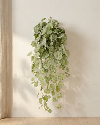 Artificial hanging begonia vine hanging from a small hook on a warm plaster wall