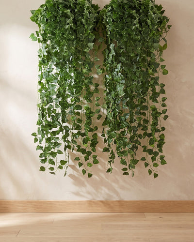 Artificial ivy garland hanging in full leafy strands down a plaster wall above a pale oak floor