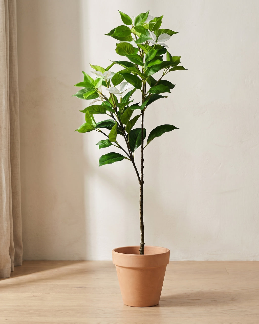Artificial variegated leaf branch in a plain terracotta pot against a warm off-white plaster wall