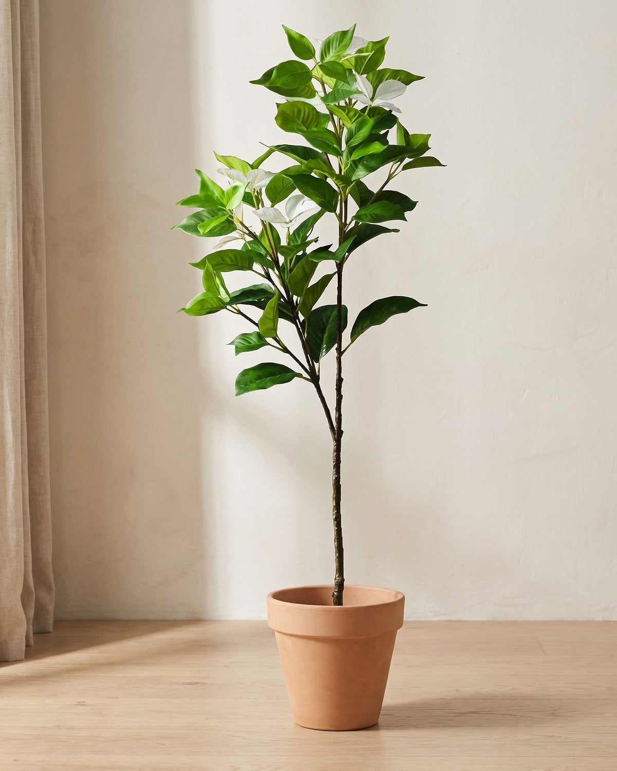 Artificial variegated leaf branch in a plain terracotta pot against a warm off-white plaster wall