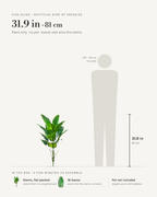 Size guide: artificial bird of paradise, 31.9 in / 81 cm tall with 18 leaves, shown beside a 5 foot 9 figure