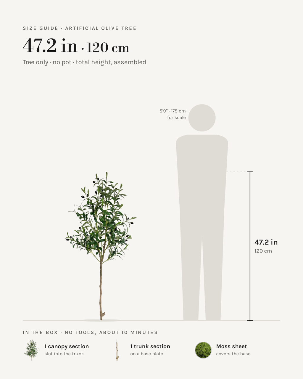 Size guide: 47 in / 120 cm artificial olive tree, no pot, to scale beside a 5 ft 9 figure, with the sections in the box