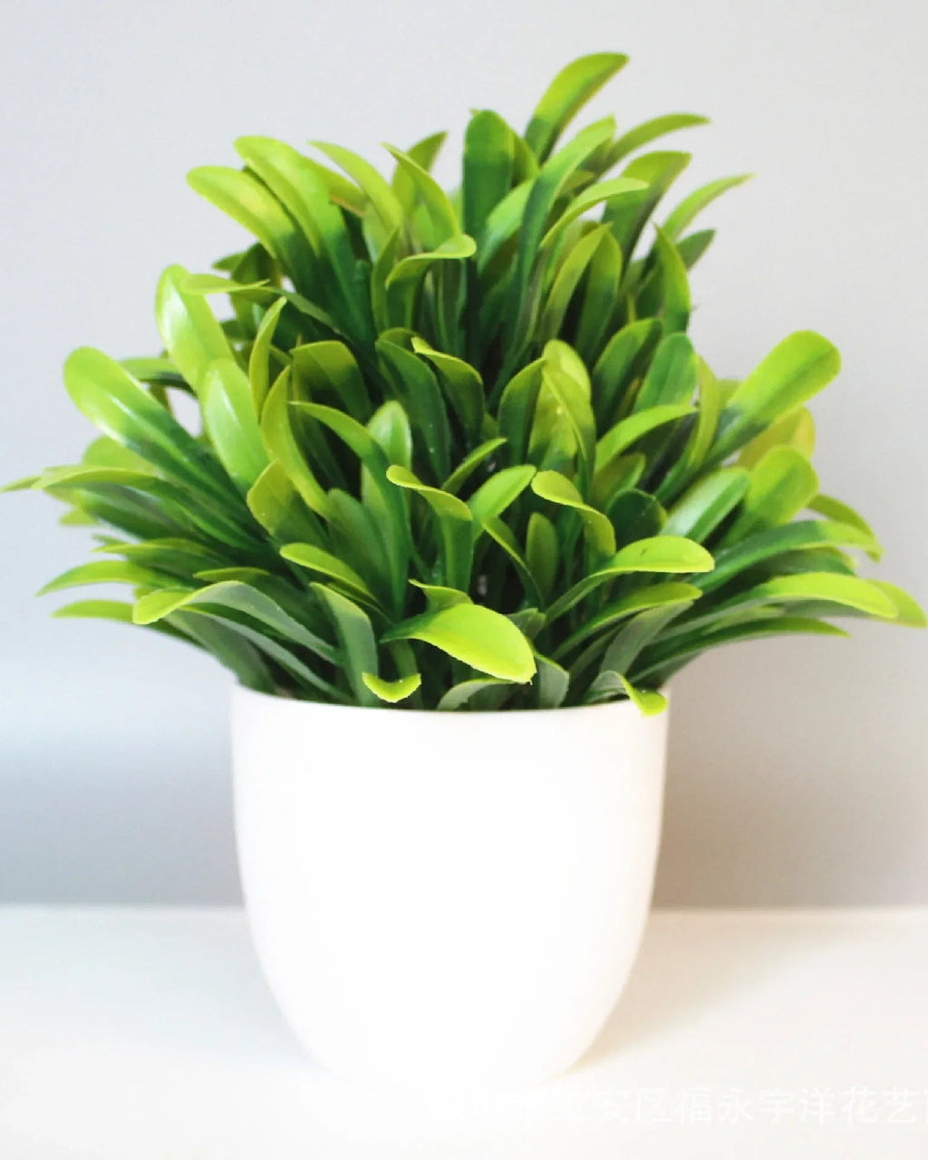 Mini artificial potted plant, peperomia foliage in a matte white pot