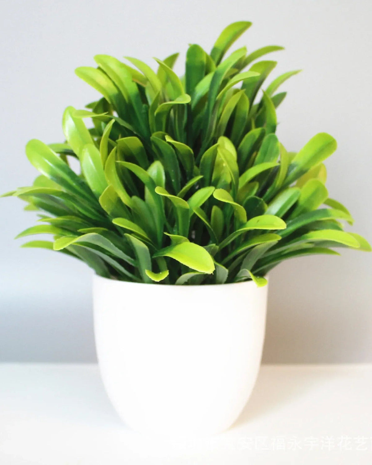 Mini artificial potted plant, peperomia foliage in a matte white pot
