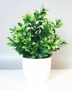 Mini artificial potted plant, boxwood foliage in a matte white pot