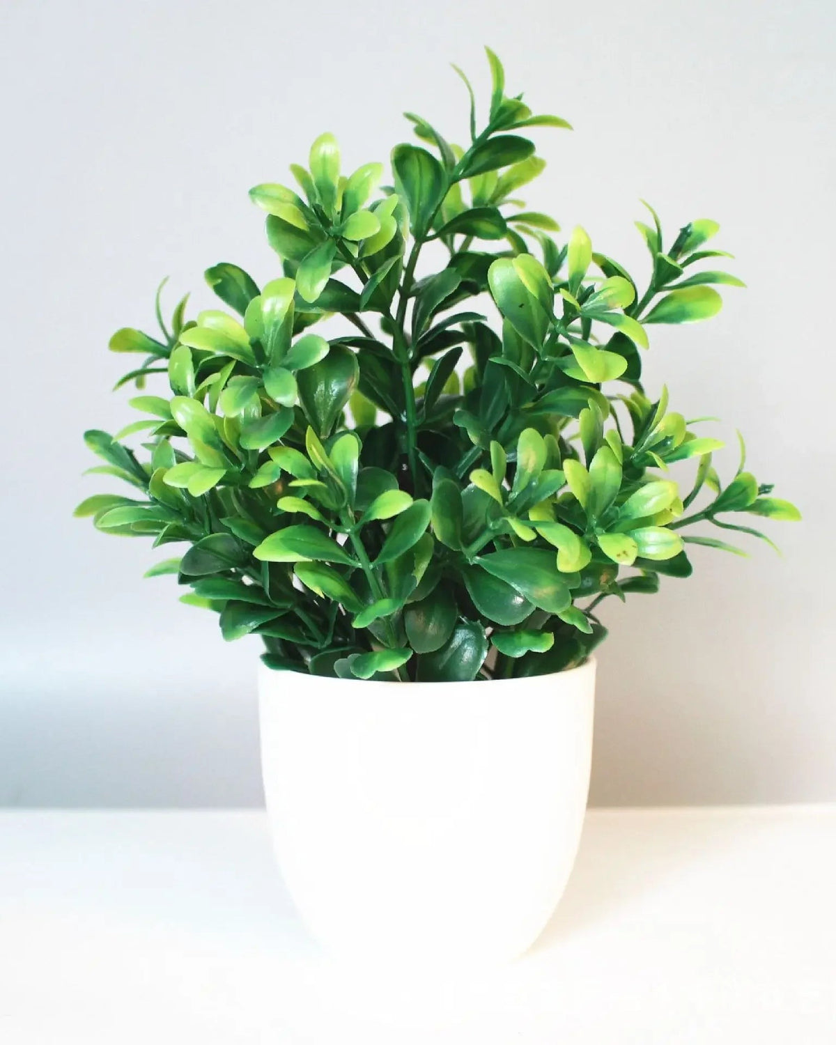 Mini artificial potted plant, boxwood foliage in a matte white pot