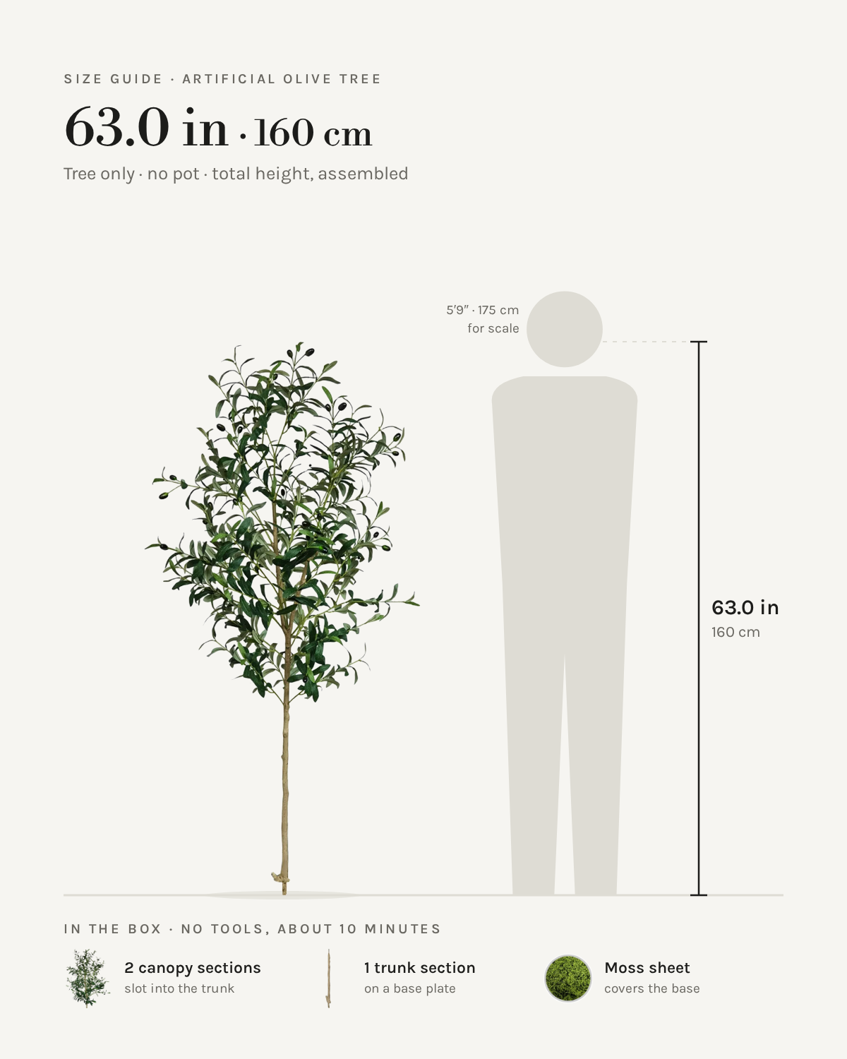 Size guide: 63 in / 160 cm artificial olive tree, no pot, to scale beside a 5 ft 9 figure, with the sections in the box