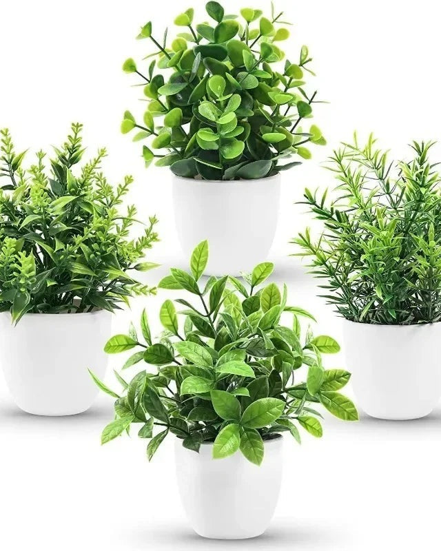 Several mini artificial potted plants in white pots grouped together