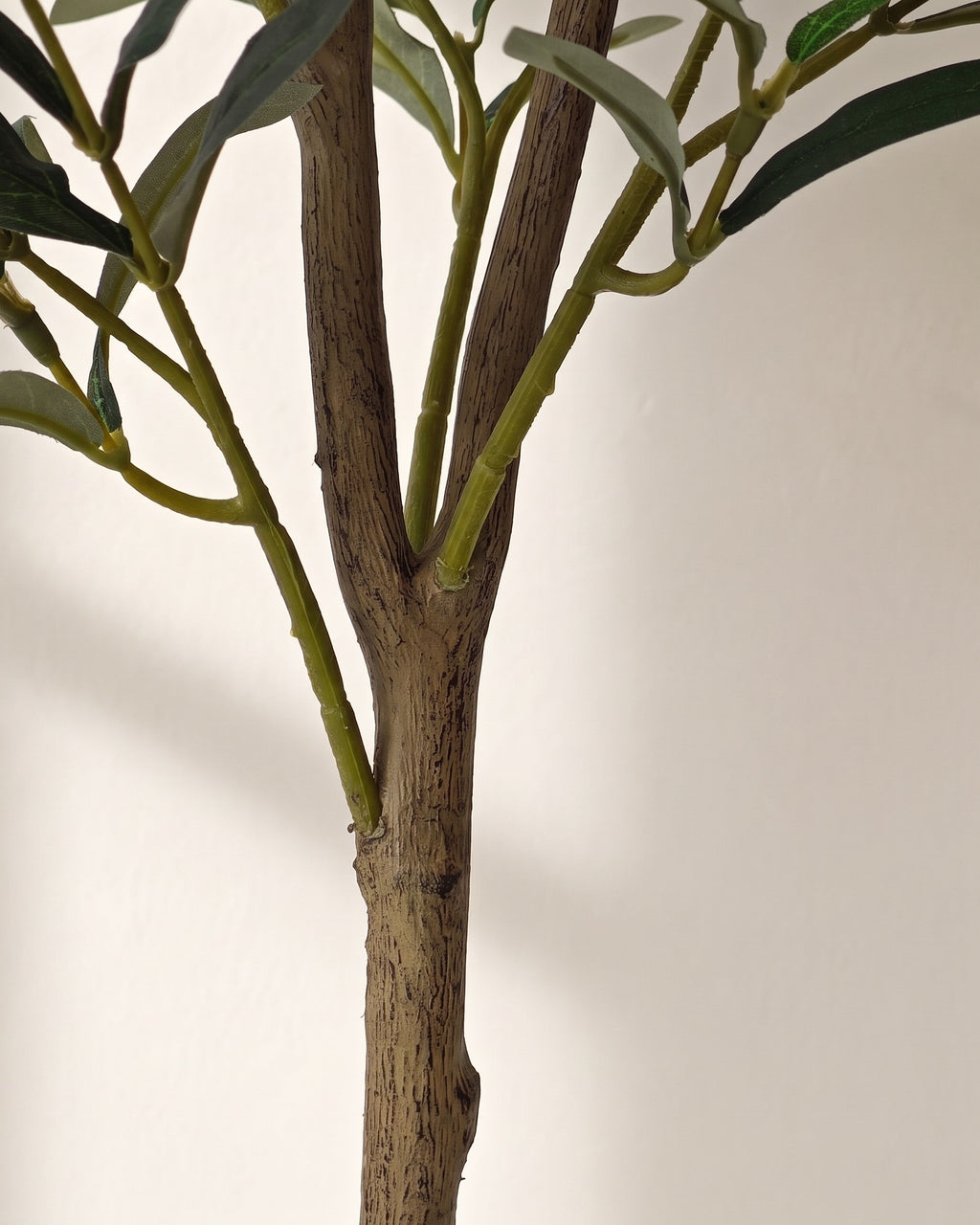 Close-up of the textured trunk and branch joints