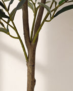 Close-up of the textured trunk and branch joints