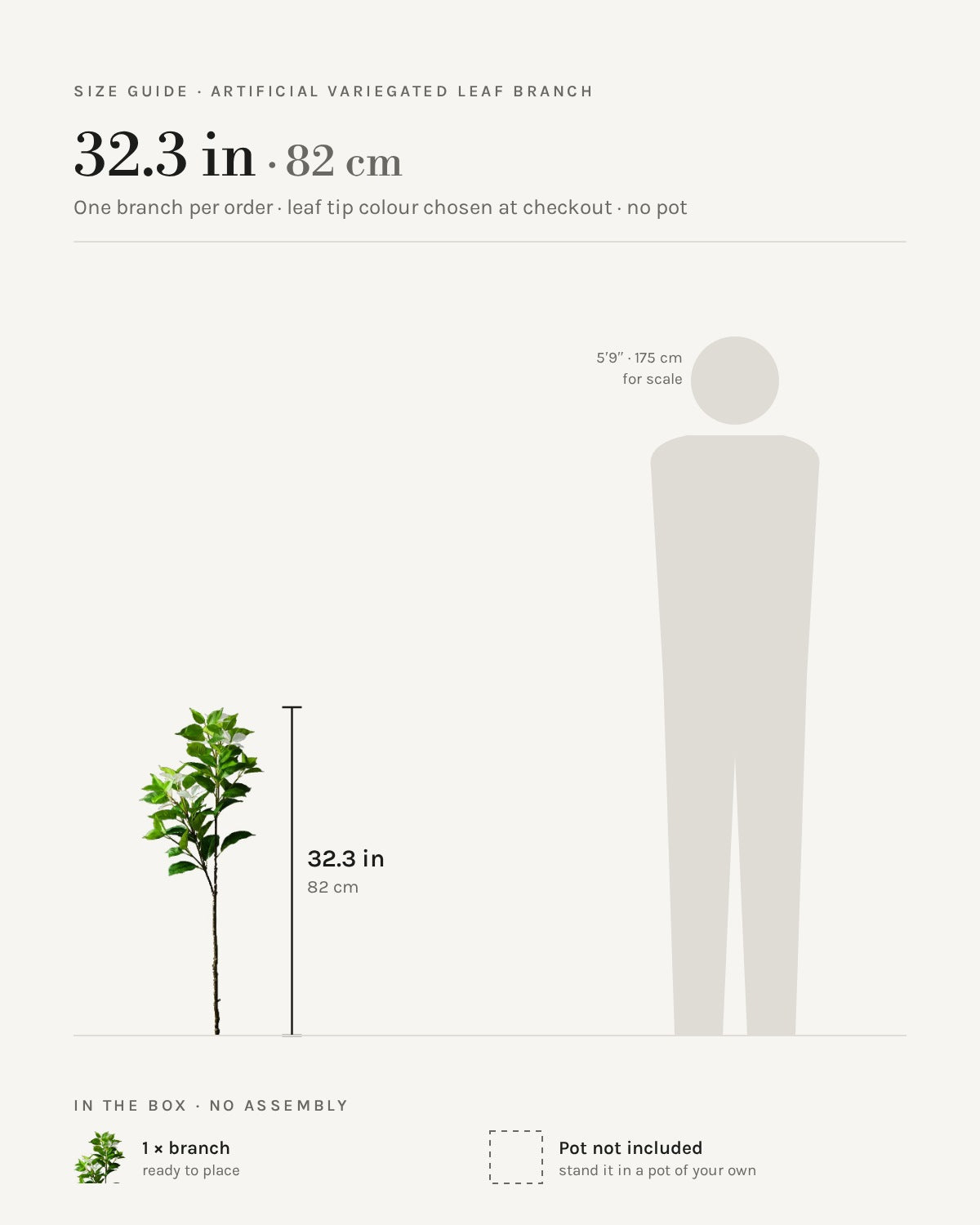 Size guide: 32.3 in / 82 cm branch shown beside a 5 ft 9 in figure