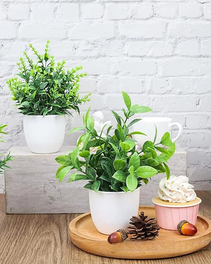 Mini artificial potted plants on a kitchen shelf beside cups and a wooden board