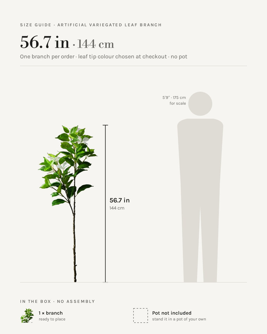 Size guide: 56.7 in / 144 cm branch shown beside a 5 ft 9 in figure