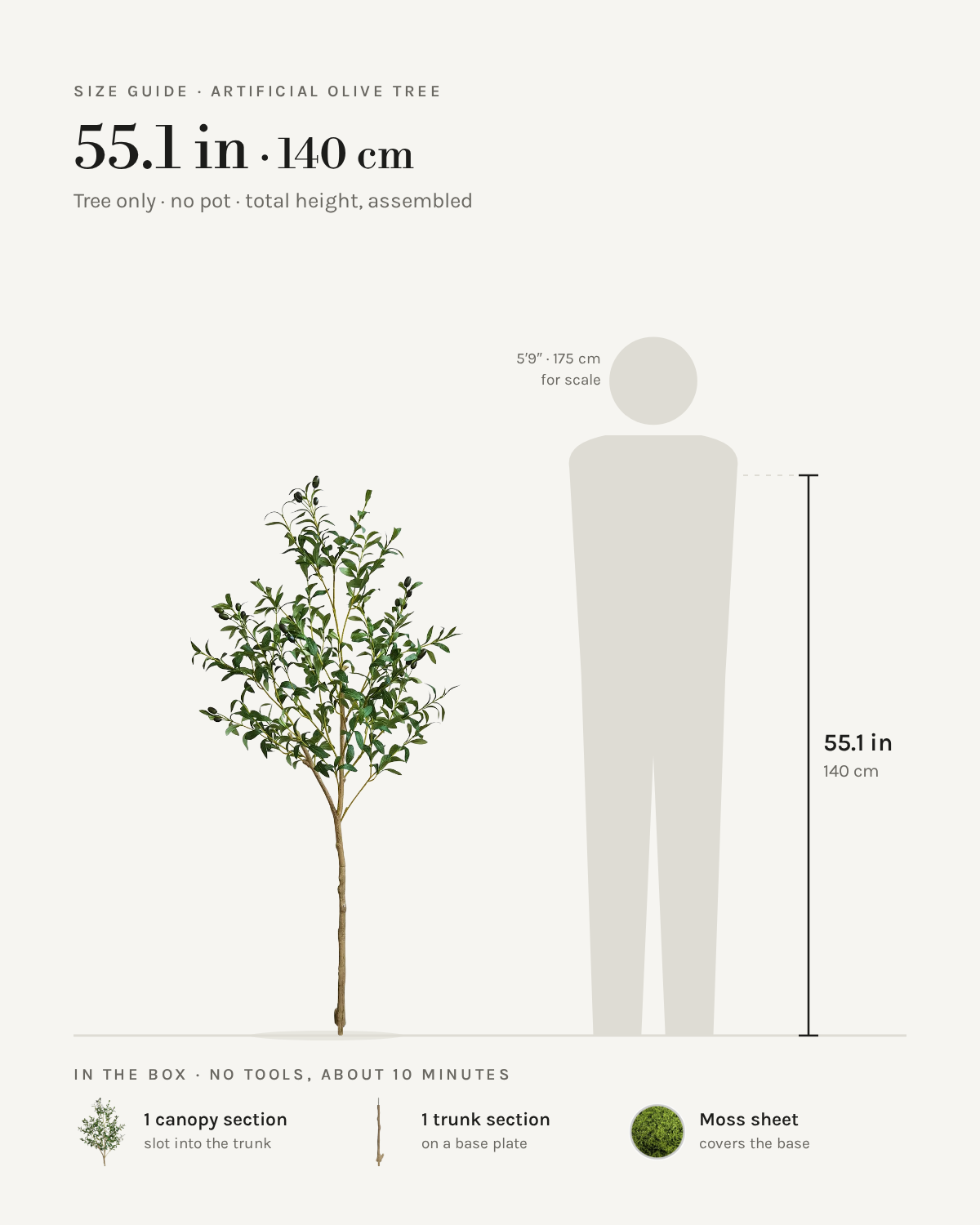 Size guide: 55 in / 140 cm artificial olive tree, no pot, to scale beside a 5 ft 9 figure, with the sections in the box