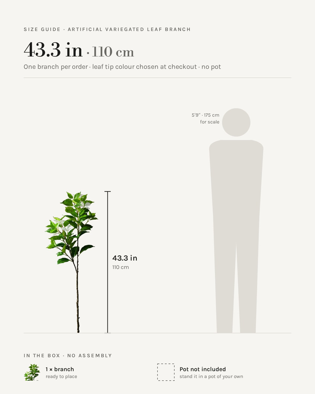 Size guide: 43.3 in / 110 cm branch shown beside a 5 ft 9 in figure