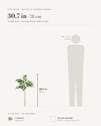 Size guide: the 30.7 in (78 cm) artificial bamboo branch, a single stem, shown beside a 5 ft 9 in figure for scale. Pot not included.