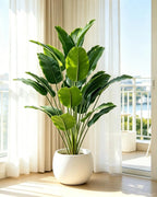 Artificial bird of paradise plant in a white pot beside a sunlit window