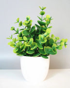 Mini artificial potted plant, coin leaf foliage in a matte white pot