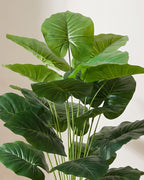 Close view of the artificial elephant ear foliage, showing the rounded leaf shape and pale central veins.