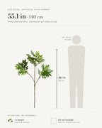 Size guide: the 55.1 in (140 cm) artificial ficus branch with three side branches, shown beside a 5 ft 9 in figure for scale. Pot not included.