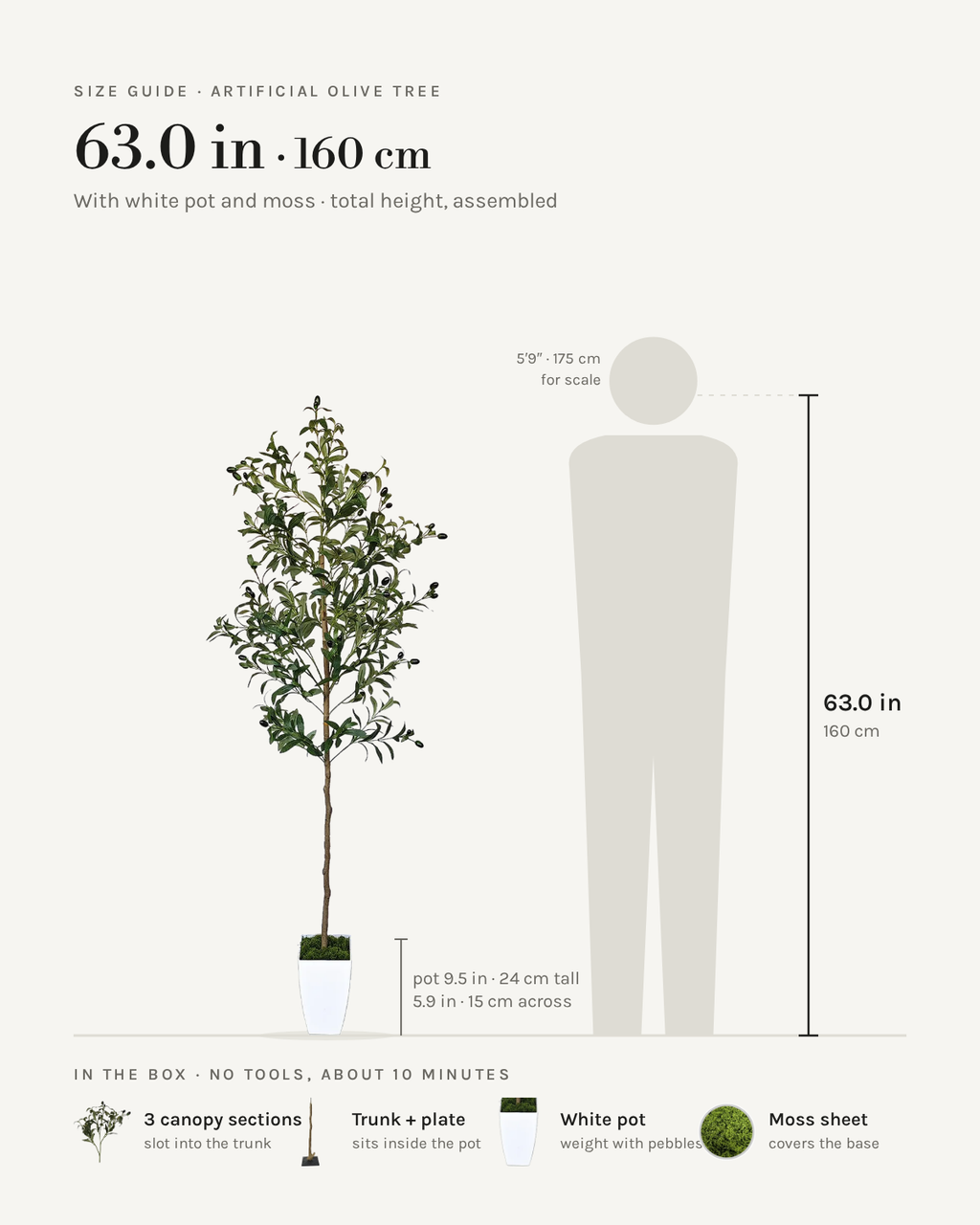 Size guide: 63 in / 160 cm artificial olive tree with white pot and moss, to scale beside a 5 ft 9 figure, with the sections in the box