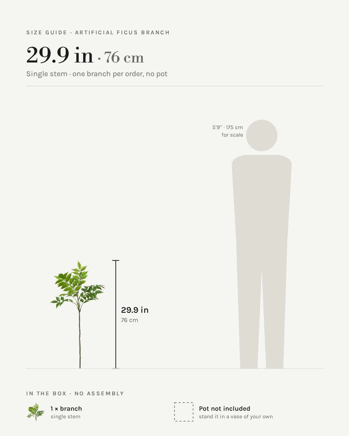 Size guide: the 29.9 in (76 cm) artificial ficus branch, a single stem, shown beside a 5 ft 9 in figure for scale. Pot not included.