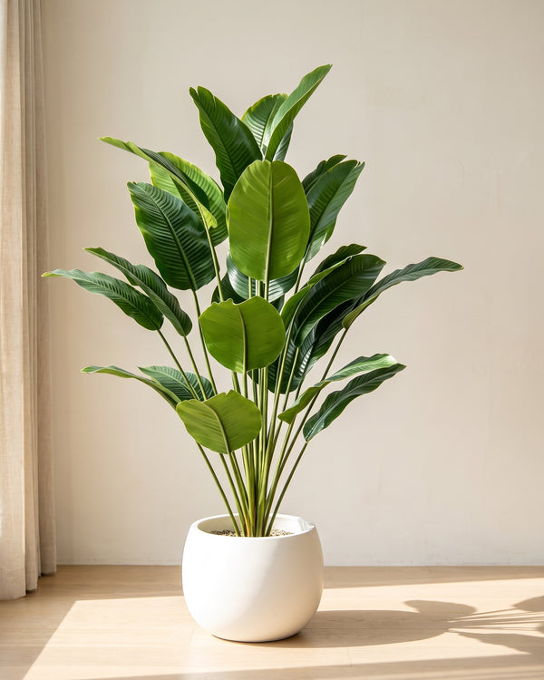 Artificial bird of paradise plant in a plain white pot on an oak floor in soft daylight (pot not included)