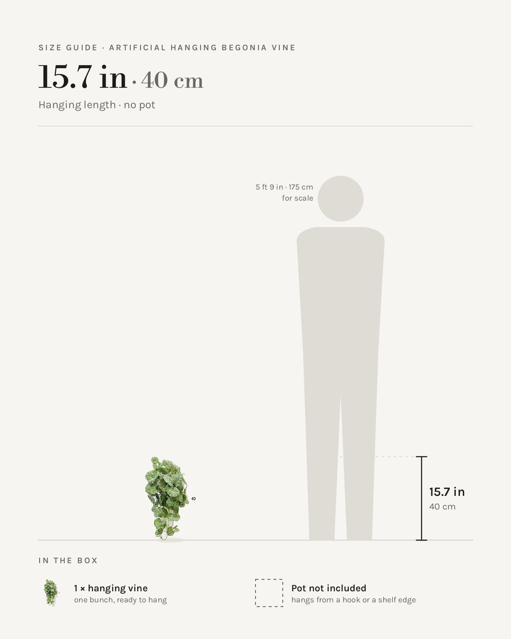 Size guide: 15.7 in hanging vine, beside a 5 ft 9 in figure