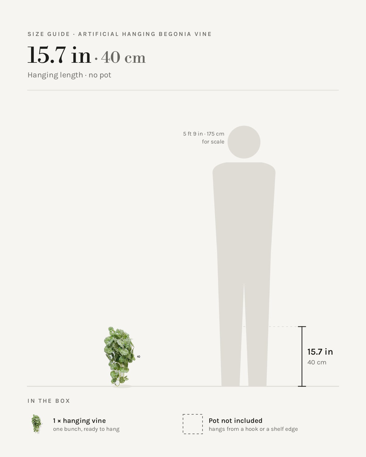 Size guide: 15.7 in hanging vine, beside a 5 ft 9 in figure