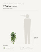 Size guide: 27.6 in hanging vine, beside a 5 ft 9 in figure