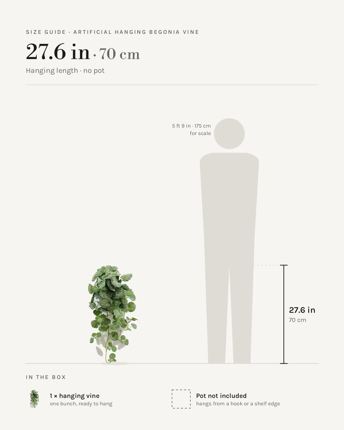Size guide: 27.6 in hanging vine, beside a 5 ft 9 in figure