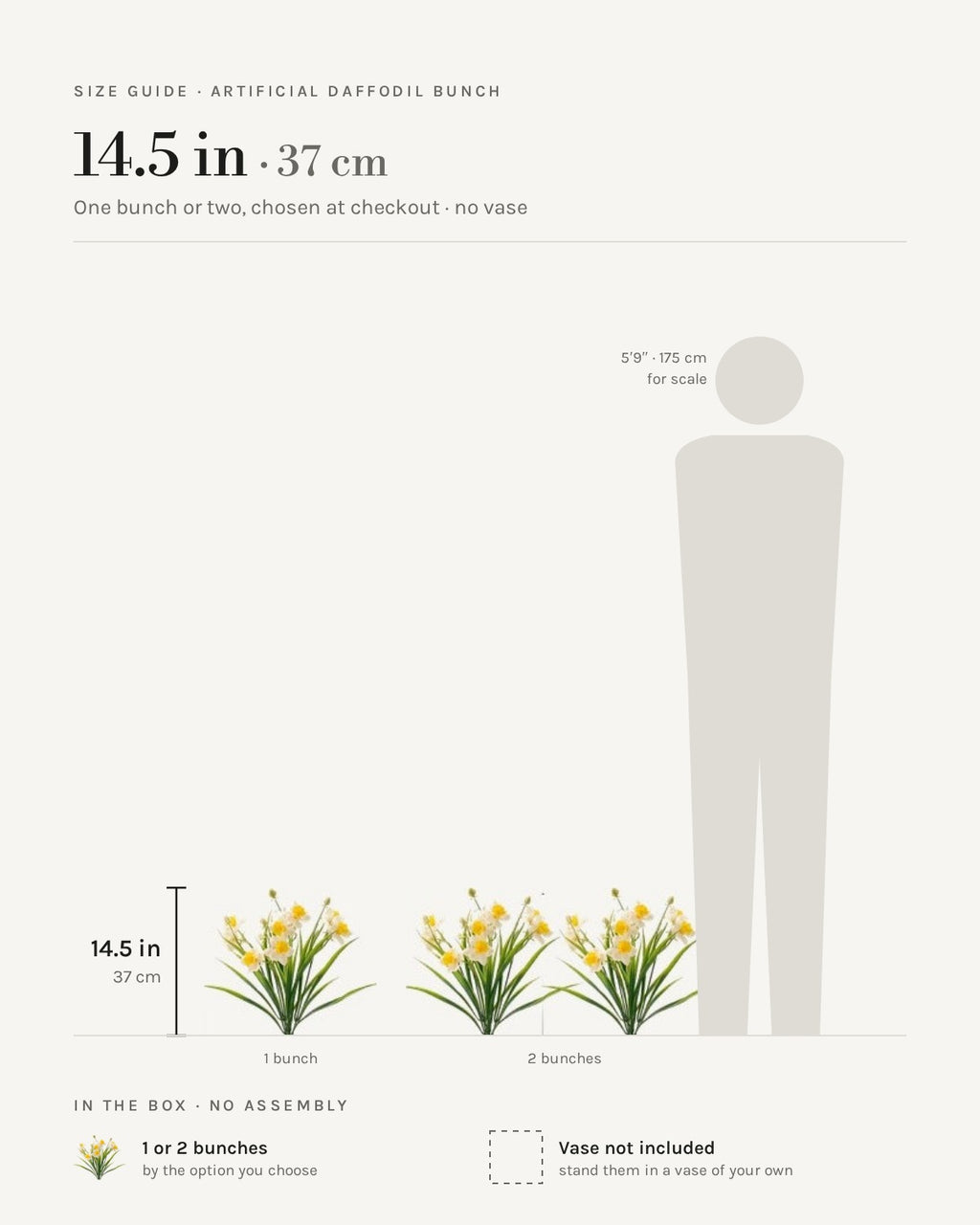 Size guide: daffodil bunch, 14.5 in / 37 cm, shown as one bunch and as two beside a 5 foot 9 figure. No vase included.