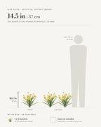 Size guide: daffodil bunch, 14.5 in / 37 cm, shown as one bunch and as two beside a 5 foot 9 figure. No vase included.