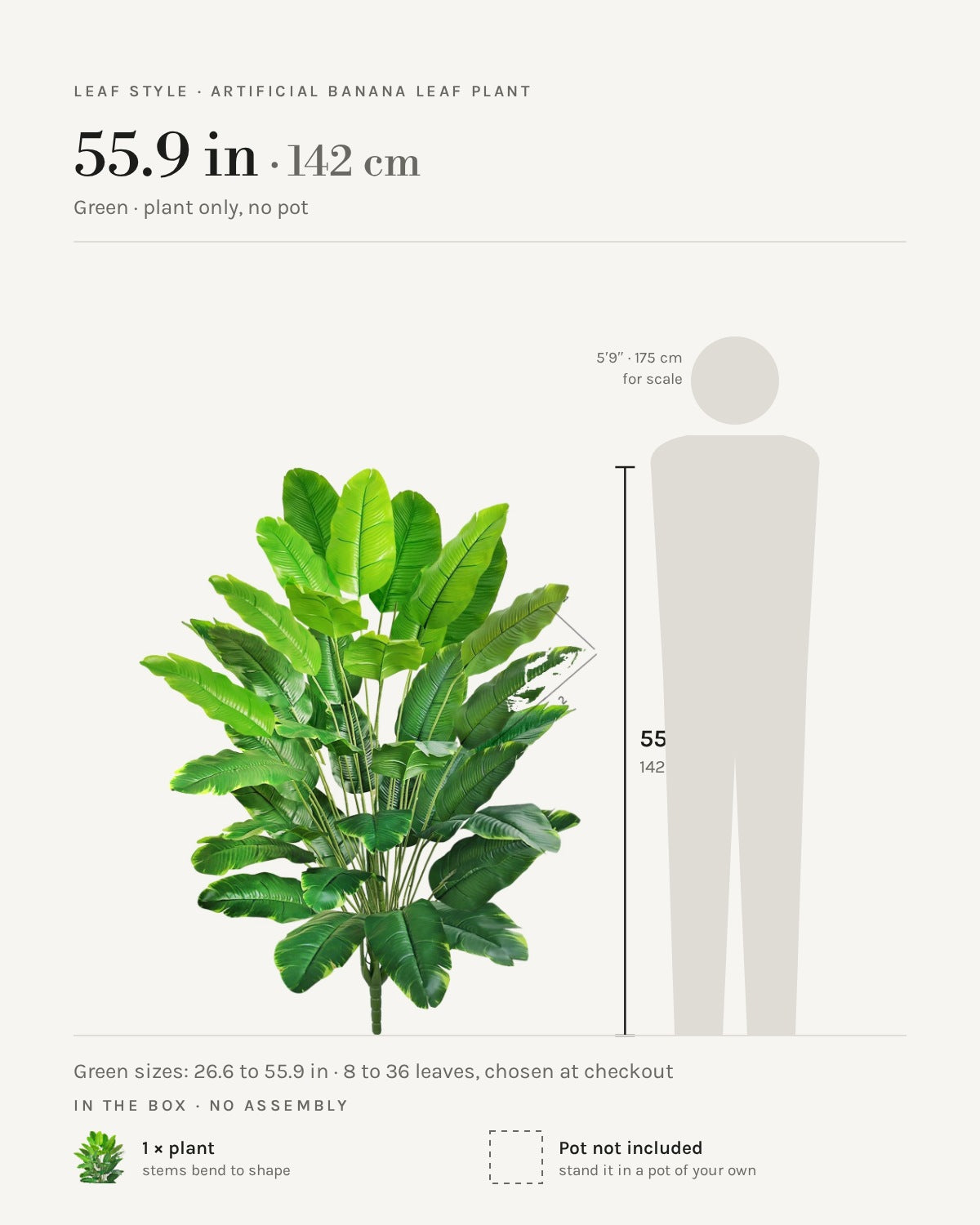 Leaf style: green, shown at 55.9 in beside a 5 ft 9 in figure