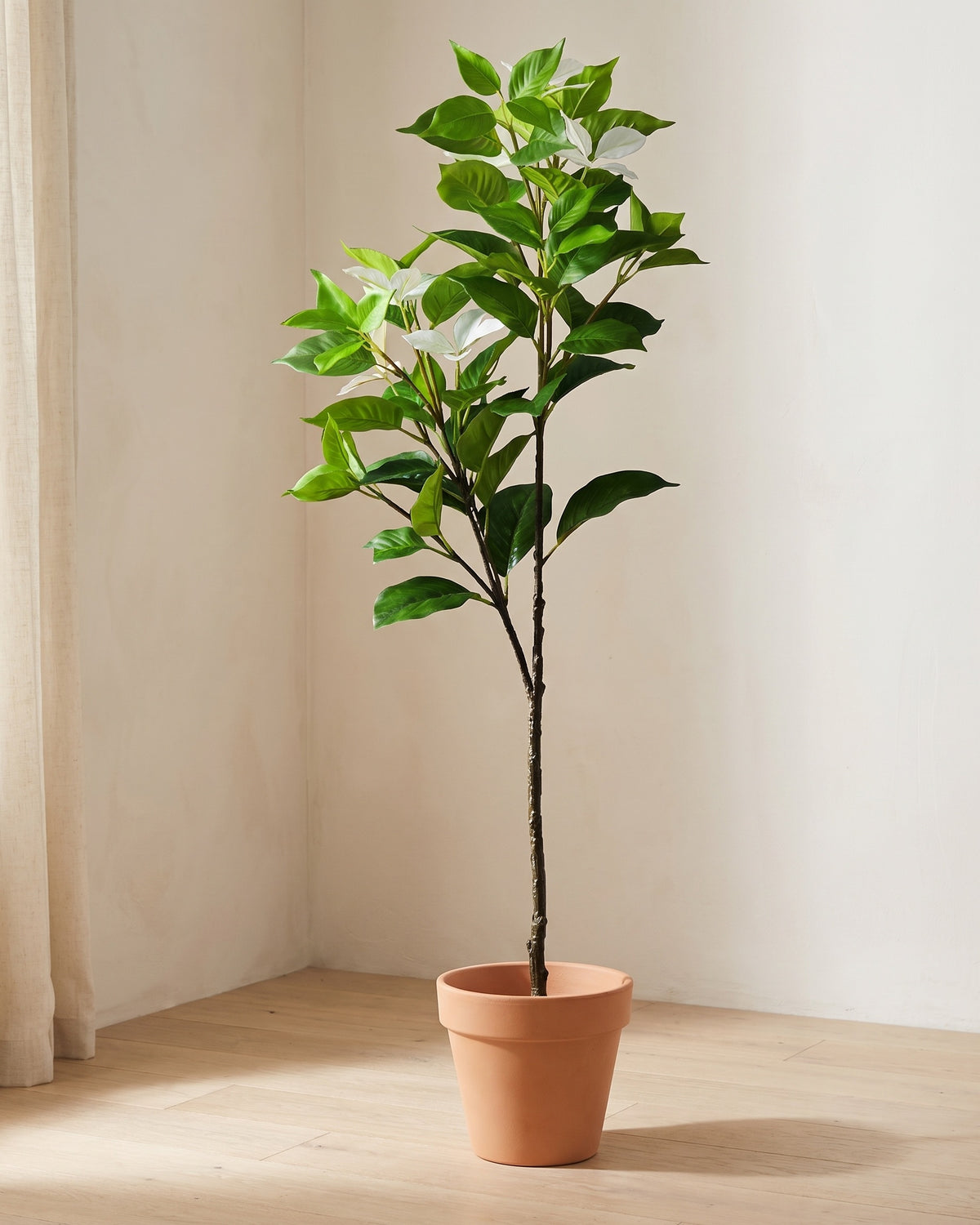 The same branch standing in the corner of a bare sunlit room with pale oak floorboards