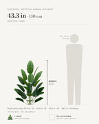 Size guide: bush only, shown at 43.3 in beside a 5 ft 9 in figure