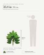 Size guide: the set with pot, basket, moss and stones, shown at 35.4 in beside a 5 ft 9 in figure