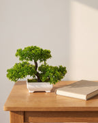 Artificial flowering bonsai on a wooden desk beside a closed book, showing its tabletop size