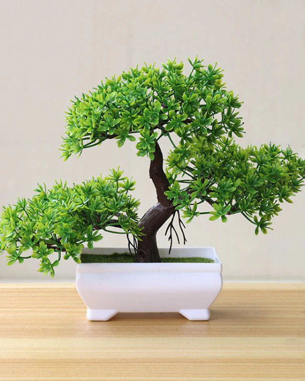 The green flowering bonsai in its molded white pot on a wooden surface.