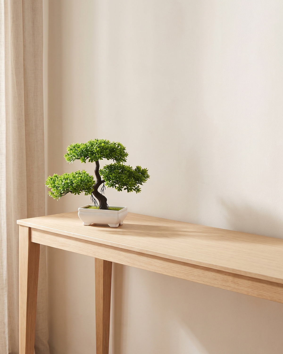 The same bonsai on a bare console table in a sunlit room
