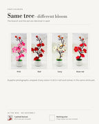 The four blossom colors: pink, red, ivory and rose red