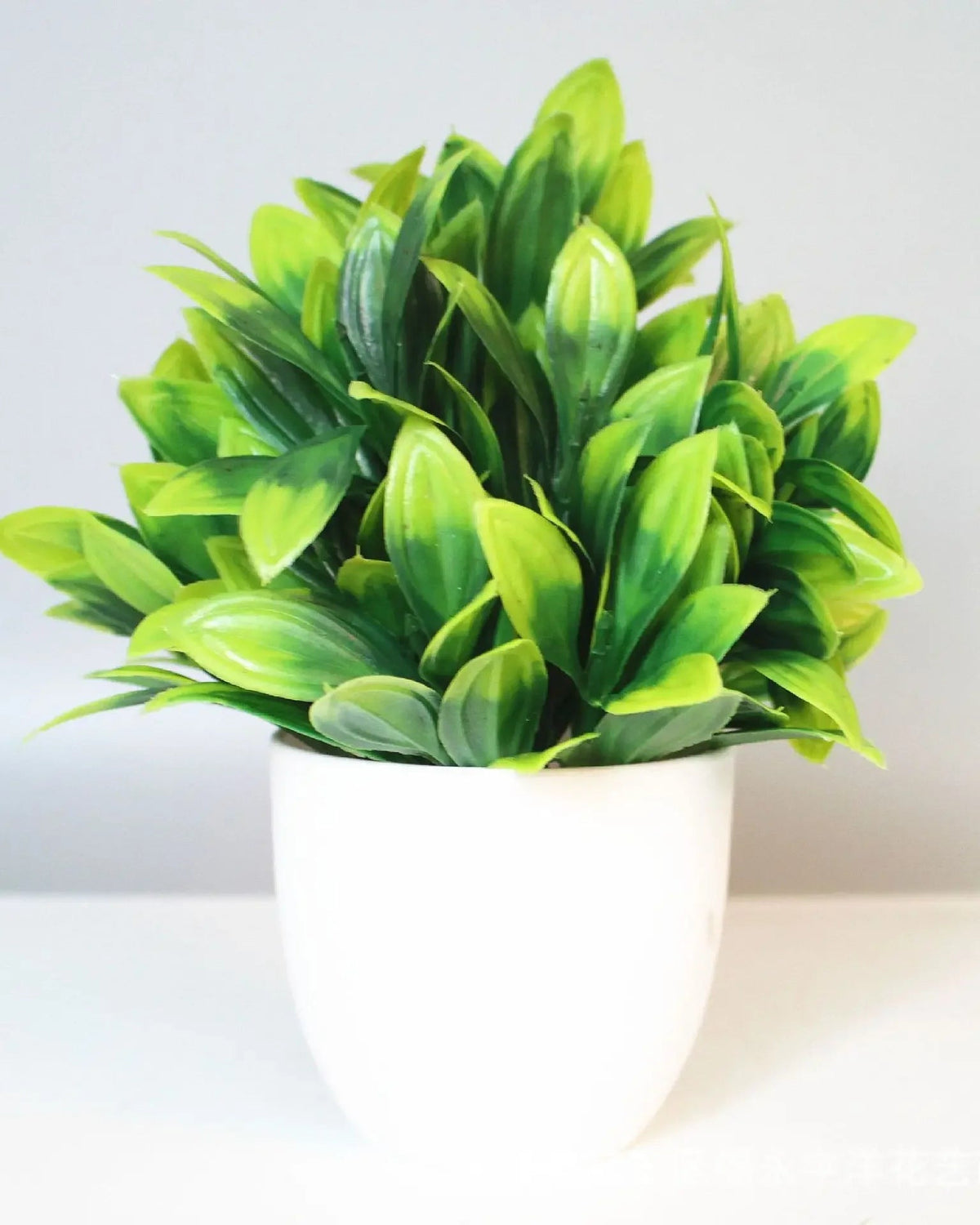 Mini artificial potted plant, dracaena foliage in a matte white pot