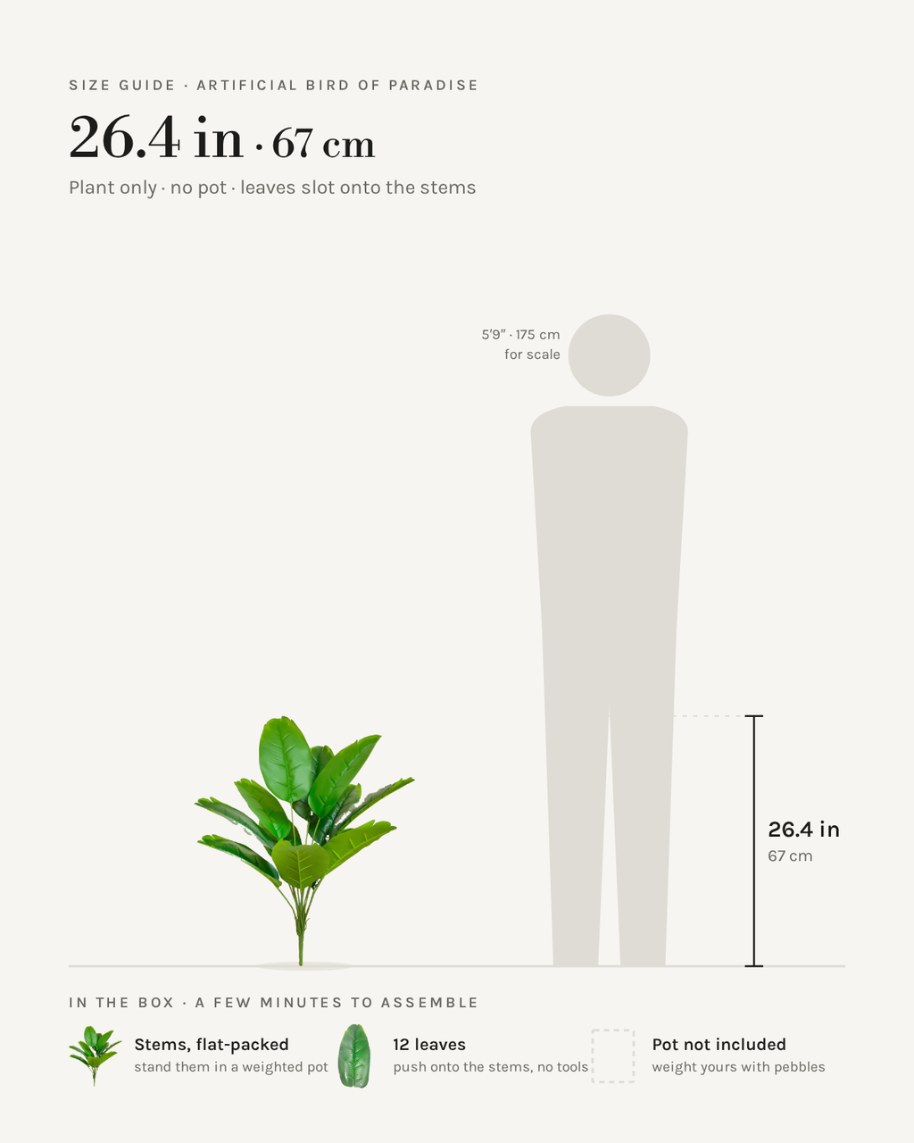 Size guide: artificial bird of paradise, 26.4 in / 67 cm tall with 12 leaves, shown beside a 5 foot 9 figure