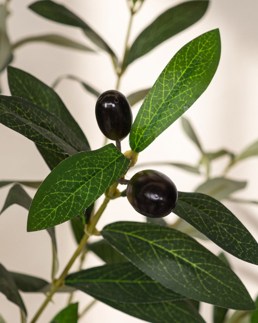 Close-up of artificial olive leaves and black olives