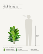 Size guide: artificial bird of paradise, 44.1 in / 112 cm tall with 24 leaves, shown beside a 5 foot 9 figure
