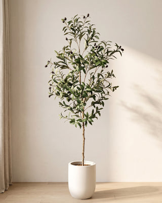 Artificial olive tree in a plain white pot on an oak floor in soft daylight