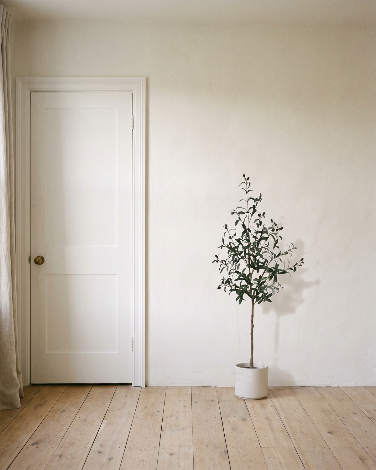 The 59 in artificial olive tree in a plain white pot, beside an 80 in door to show its height; planter not included