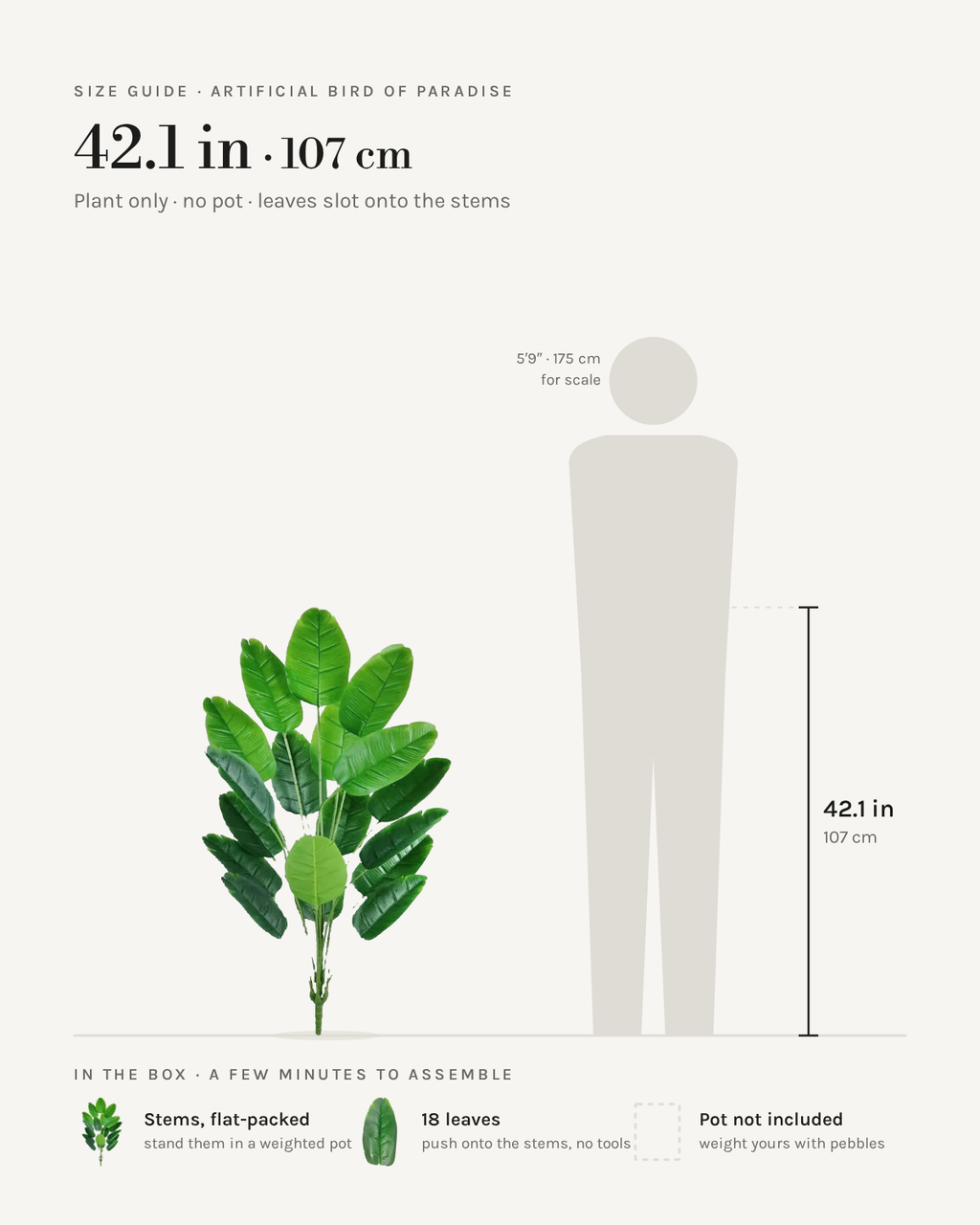 Size guide: artificial bird of paradise, 42.1 in / 107 cm tall with 18 leaves, shown beside a 5 foot 9 figure