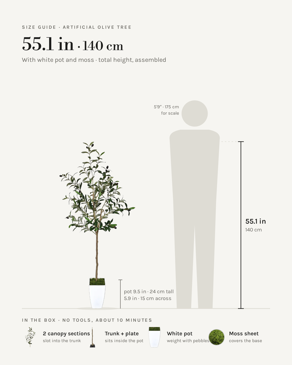 Size guide: 55 in / 140 cm artificial olive tree with white pot and moss, to scale beside a 5 ft 9 figure, with the sections in the box